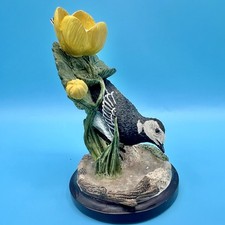 *PIED WAGTAIL EAGLEMOSS
