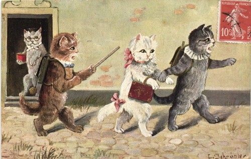 Cats human dress artist - in,