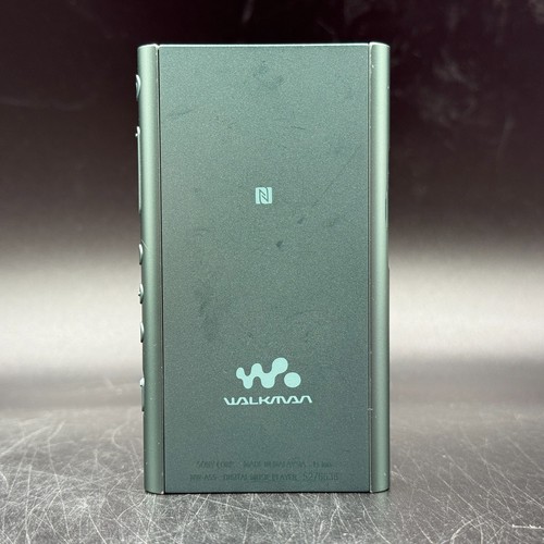 Sony a55 walkman - nw-a55, hi-res