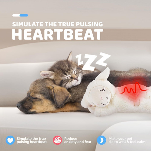 All for paws - paws, little
