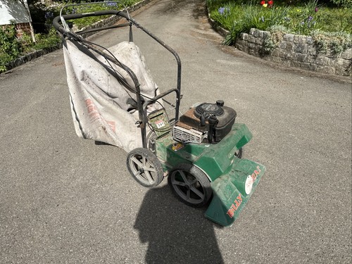 Billy goat leaf collector - goat,