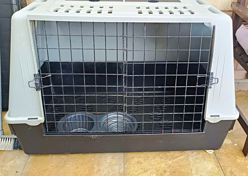 Hard sided plastic dog travel - hard-sided,