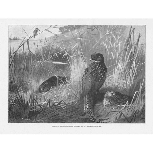 Archibald thorburn the - thorburn, on