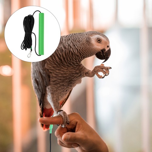 Conure harness parrot - conure,