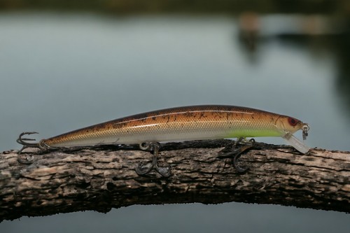 Pencil minnow jerkbait - minnow,