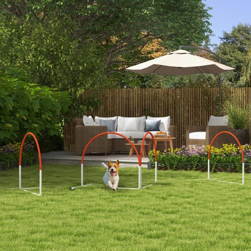 Dog agility equipment - dog,