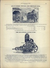 1905 PAPER AD Gray's Horse