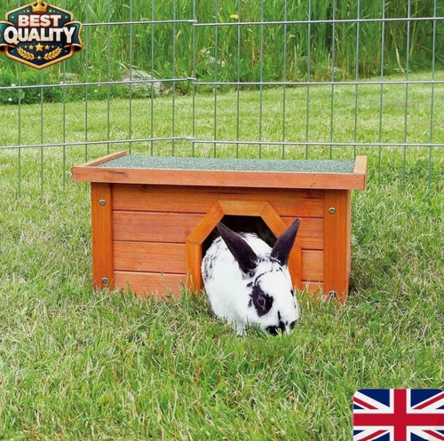 Bunny business small - business,