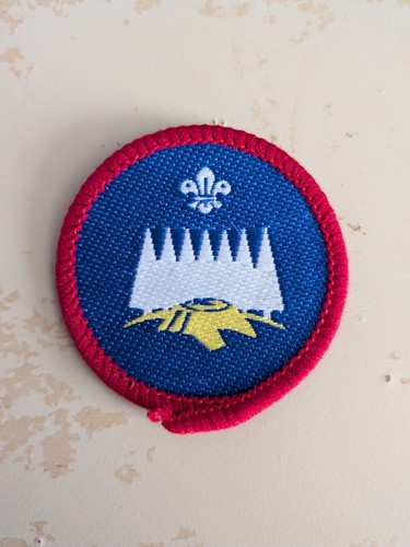 Scout activity badge - activity,