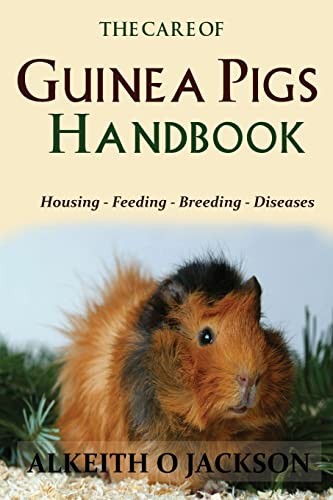 The care guinea pigs - care, of