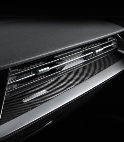 Carbon fibre dashboard panel - dashboard,