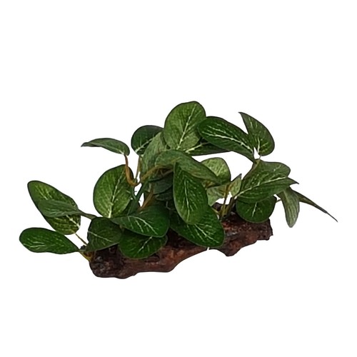 Foreground plant wood - foreground, silk