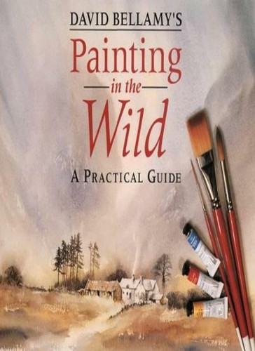 David bellamy painting in - david,
