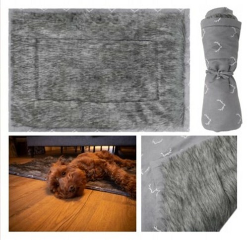 Wolf and tiger - wolf, grey