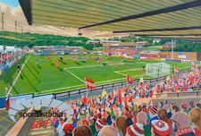 McCain Stadium Fine Art Print