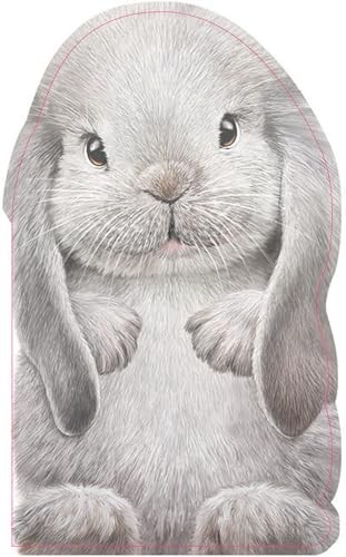 Furry bunny touch and - furry,