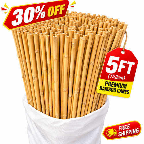 5ft bamboo canes thick - bamboo,