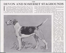 THE DEVON AND SOMERSET