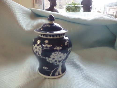 Large chinese ginger prunus - ,