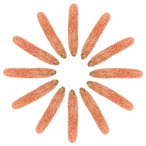 Pcs corn cob - corn,