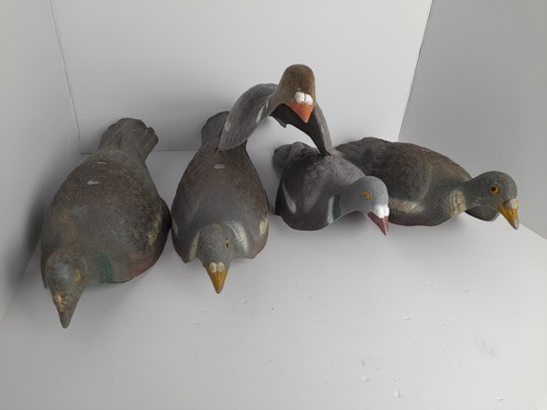 Plastic half shell - 5, pigeon