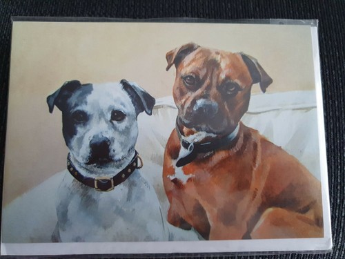 Staffies greetings card - staffies,