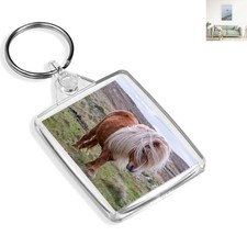Personalized Shetland Pony