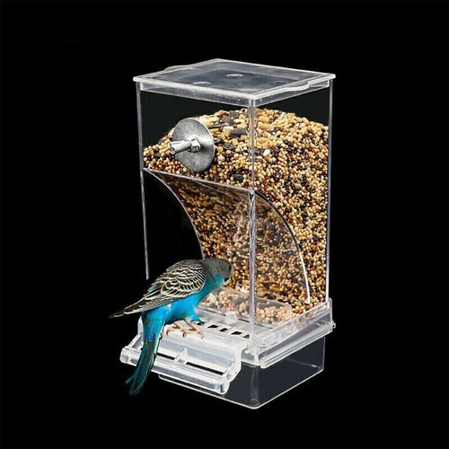 Automatic acrylic bird feeder - acrylic,