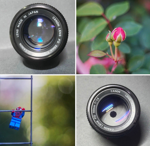 Canon 50mm fast prime - 50mm,