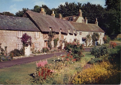 Winkle street calbourne isle - winkle,