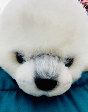 yomiko plush baby fur seal
