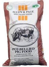 ALLEN PAGE POT BELLIED PIG