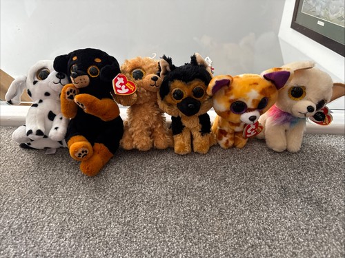 Beanie boo dog bundle all - beanie,