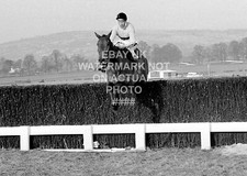 ARKLE PAT TAAFFE 1965 GOLD CUP