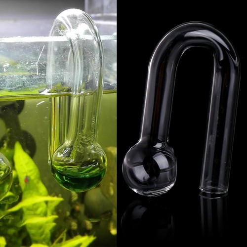 Simplelife aquarium fish - simplelife, tank