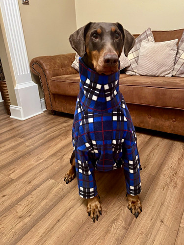 Handmade fleece tartan dog - handmade,