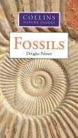 Collins nature guides fossils - nature,