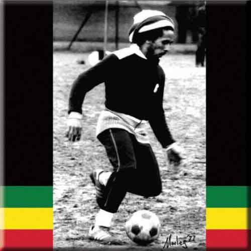 Bob marley fridge magnet - bob,