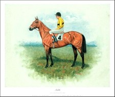 Arkle - Limited Edition Print