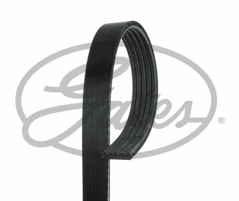 New gates micro multi ribbed - new, multi-ribbed