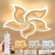 Modern Lamp LED Ceiling Light