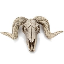 Wall Mounted Garden Skull Sheep\\\\\\\\\\\\\\\'