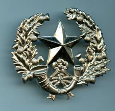 Cameronians Scottish Rifles