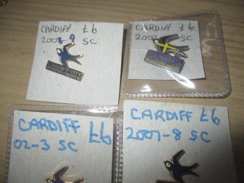 Cardiff city football - ,