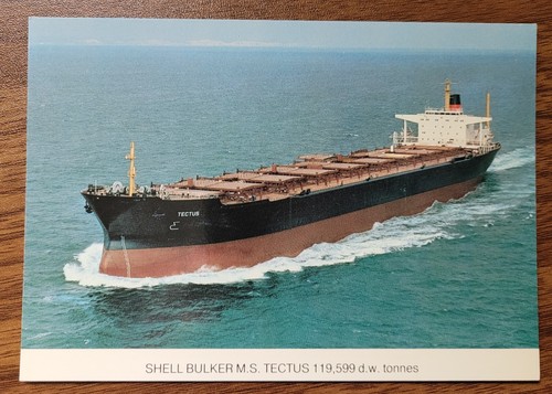Shell bulker tectus real - shell,