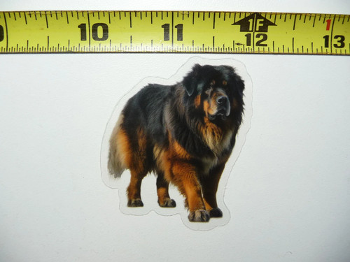 Tibetan mastiff dog small - tibetan,