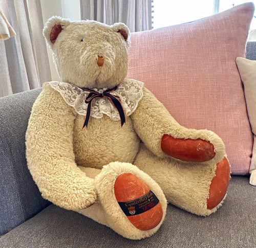 Canterbury bears made for - bears,