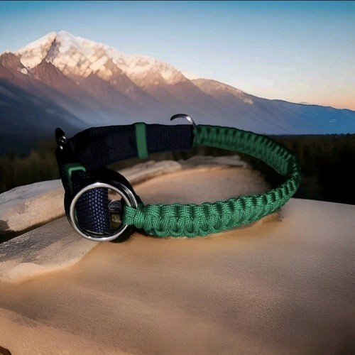 Bitless bridle attachment - , in