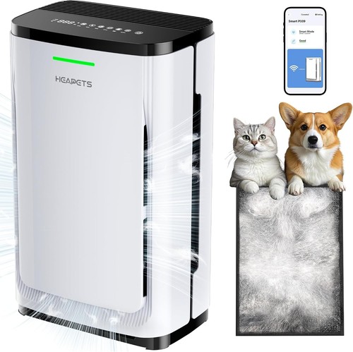 Pet air purifier for large - pet,