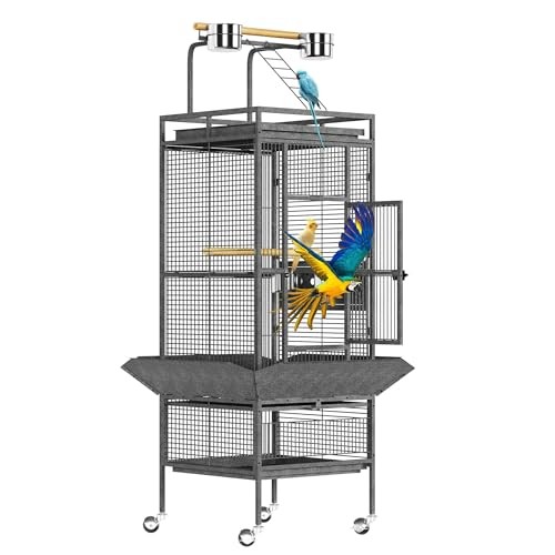 Extra large bird - large, cage